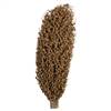 22 x 7" avg Natural Olympia Seed Pod