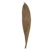 6-12" Natural Palm Paddles 20-25/Bag