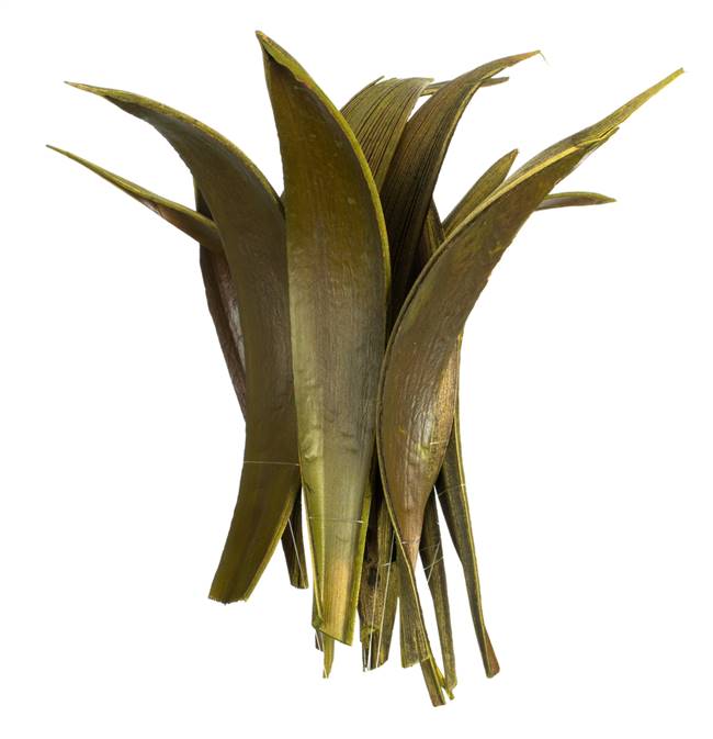 6-12" Basil Palm Paddles 20-25/Bag