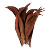 6-12" Dark Brown Palm Paddles 20-25/Bag