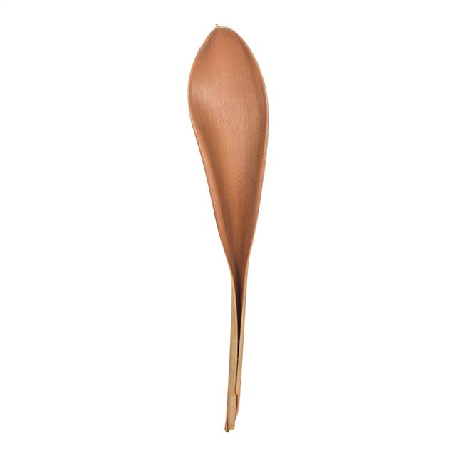 42-45" Natural Palm Paddles - XL Bulk