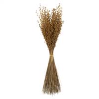 30" Natural Princess Grass - 7 oz.