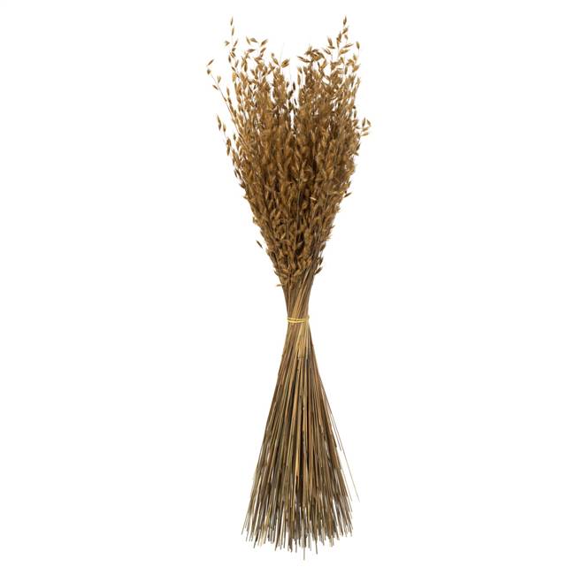 30" Natural Princess Grass - 7 oz.