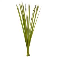 36-40" Basil Sable Grass - 7 oz.