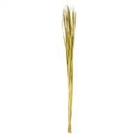 72" Basil Sable Grass Bundle