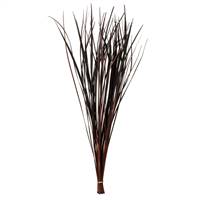 28-36” Brown Splinter Grass - 11 oz.