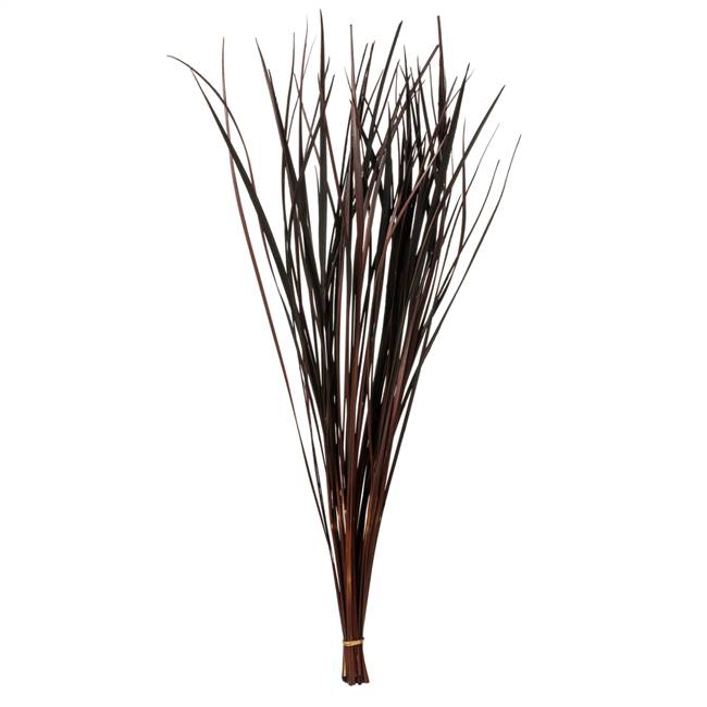 28-36” Brown Splinter Grass - 11 oz.