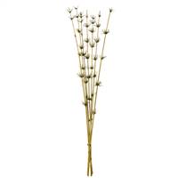 36-40” Basil Star Bamboo Reed Stem