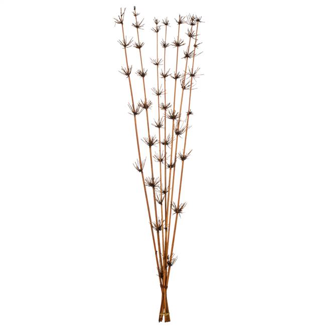 36-40” Brown Star Bamboo Reed Stem