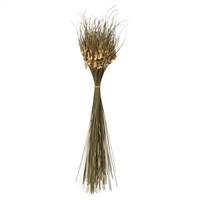 26" Natural Tulip Star 4 oz.