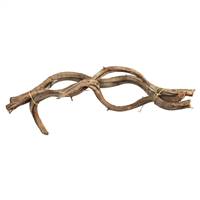 18-22" Natural Twisted Vine Bundle