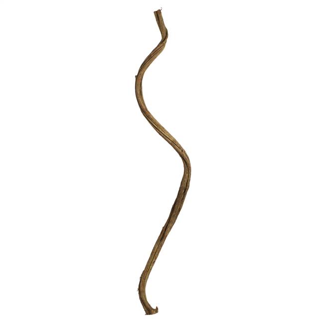 38-45" Basil Twisted Vine - 1/Pk