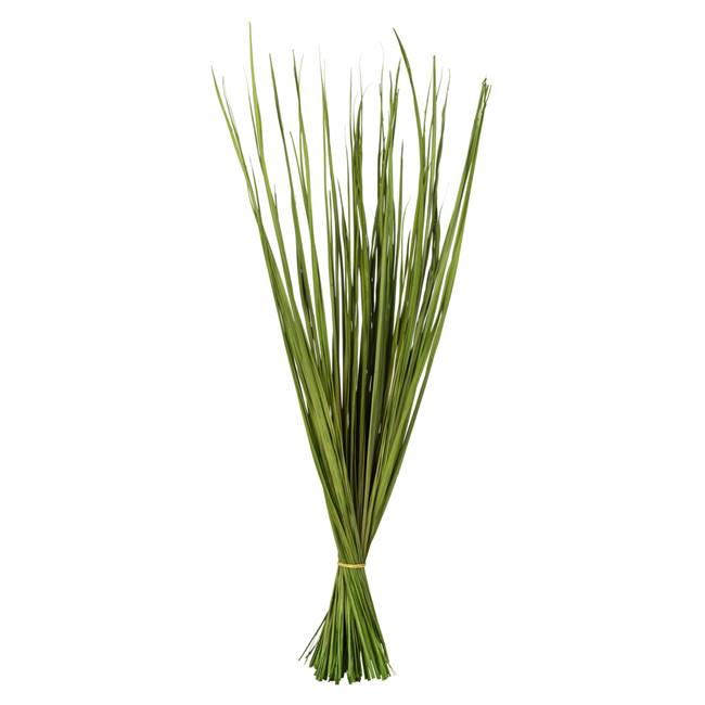 28-32" Basil Wild Flax Grass Bundle -4oz