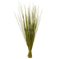 24-30" Basil Whip Grass Bundle - 8 oz.