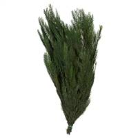 30-34" Green Premium Cedar Boughs