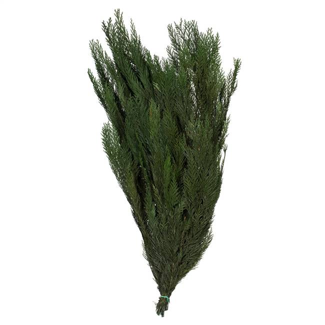 30-34" Green Premium Cedar Boughs