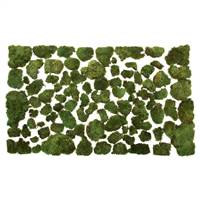 Premium Green Mood Moss - 2.75 lbs/Bx
