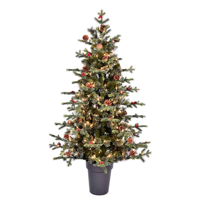 5' x 41" Potted Timberline DuraLit 250CL