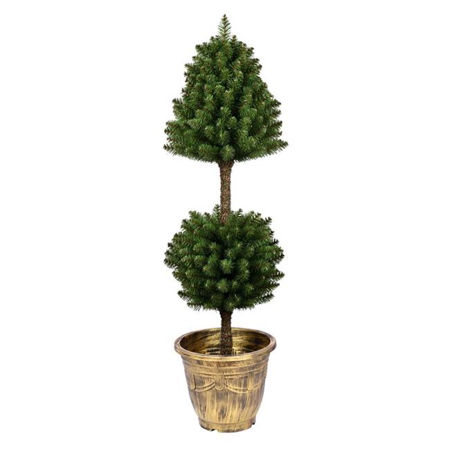 4' Potted Tifton Two Ball Topiary 303Tip