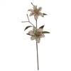 23" Champagne Velvet Magnolia 6" Fl x 2