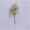 29" Champagne Velvet Magnolia 9" Flowr