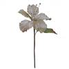 21" Champagne Velvet Hibiscus 6" Flowr