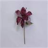27" Mauve Glitter Amaryllis 7.5" Flowr