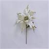 31" Cream Glitter Poinsettia 13" Flowr