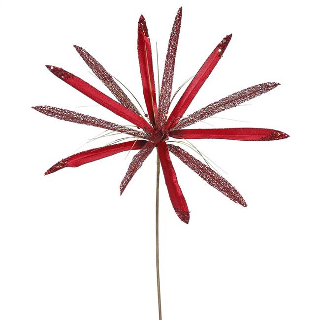 24" Red Papyrus, 20" Flower 3/Bag