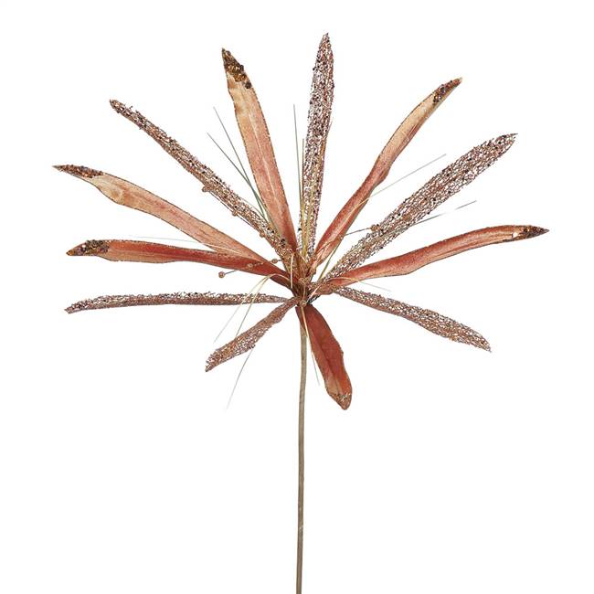 24" Copper Papyrus, 20" Flower 3/Bag