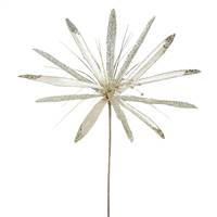 24" Champagne Papyrus, 20" Flower 3/Bag