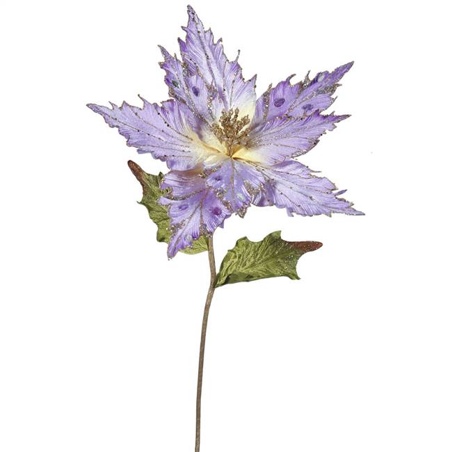 26" Violet Poinsettia, 13" Flower 3/Bag