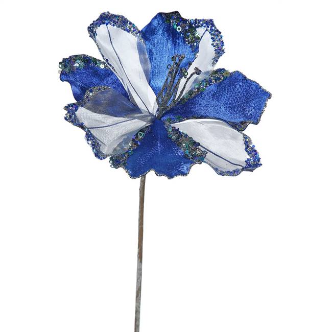 20" Blue Amaryllis, 9" Flower 3/Bag