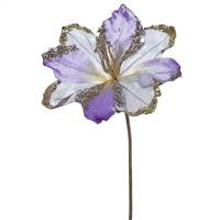 20" Violet Amaryllis, 9" Flower 3/Bag