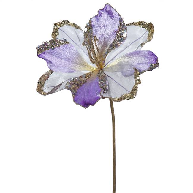 20" Violet Amaryllis, 9" Flower 3/Bag