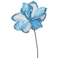 20" Sky Blue Amaryllis, 9" Flower 3/Bag