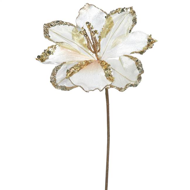 20" Rose Gold Amaryllis, 9" Flower 3/Bag