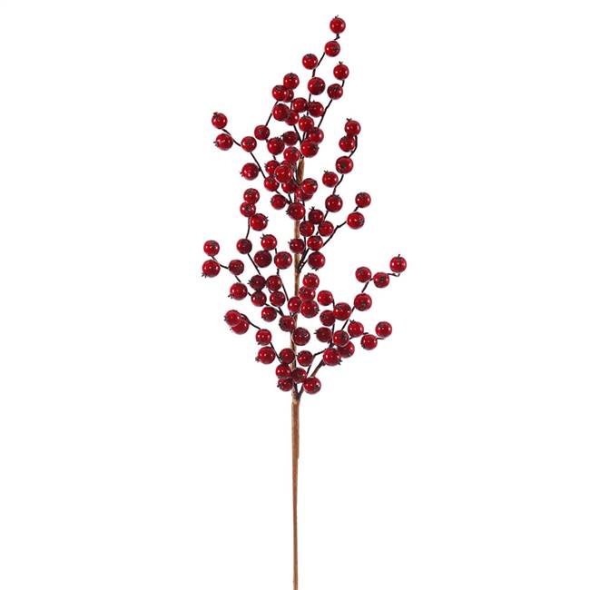 34" Red Gooseberry Outdoor Spray