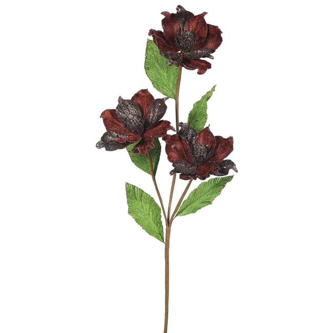 33" Chocolate Magnolia x3 4" Flowr 6/Box