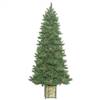 7' x 38" Potted Newfield Fir Instant866T