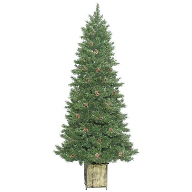 7' x 38" Potted Newfield Fir Instant866T