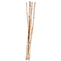 1" - 1.5"  x 72" Birch Poles x5 pcs