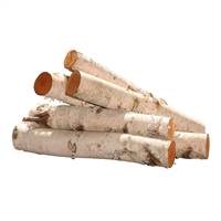 16" Birch Log Bundle-6pc/set