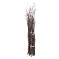 Birch Brush Bundle