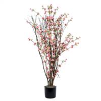 4' Hot Pink Blossom Tree