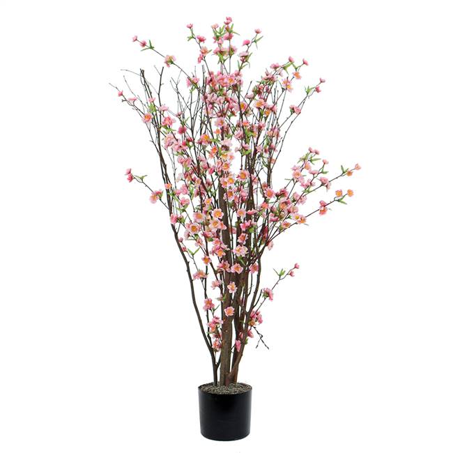 4' Hot Pink Blossom Tree
