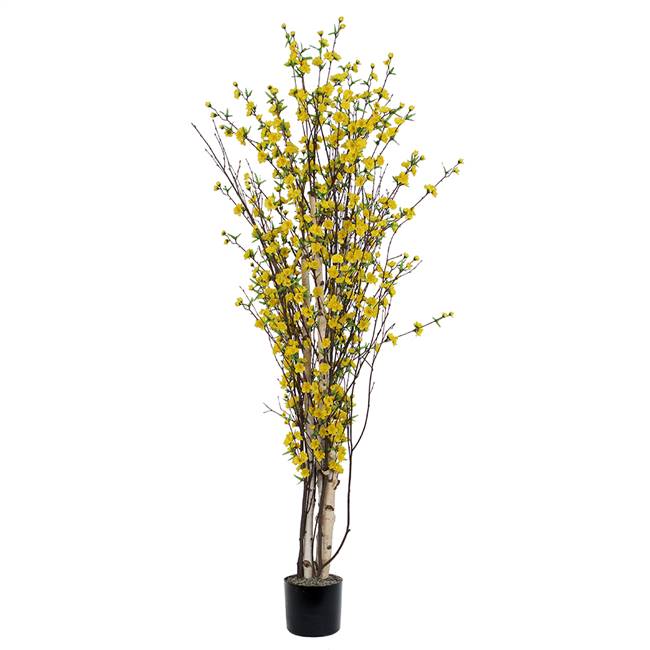 4' Yellow Blossom Tree