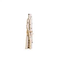 Birch Pole Planter Set/5 pc