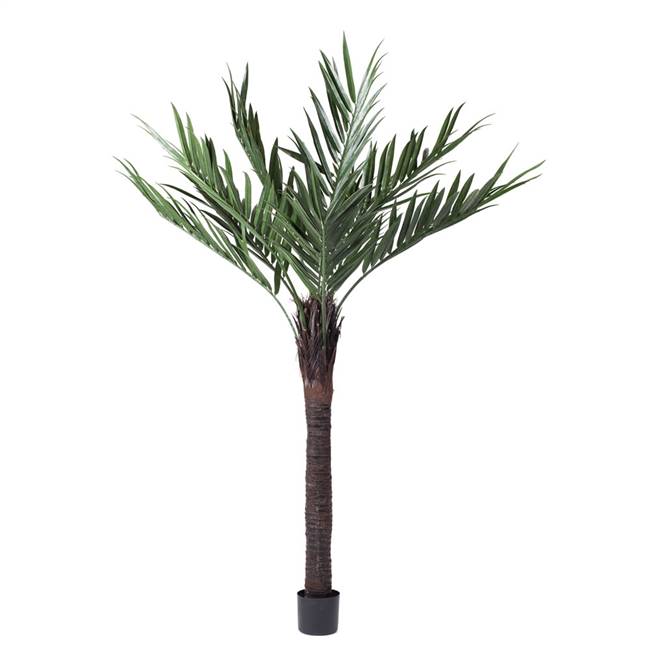 72" UV Kentia Palm w/ 252 Lvs