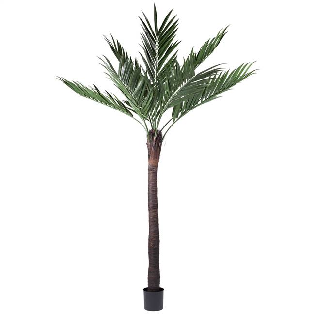 96" UV Kentia Palm w/288 Lvs